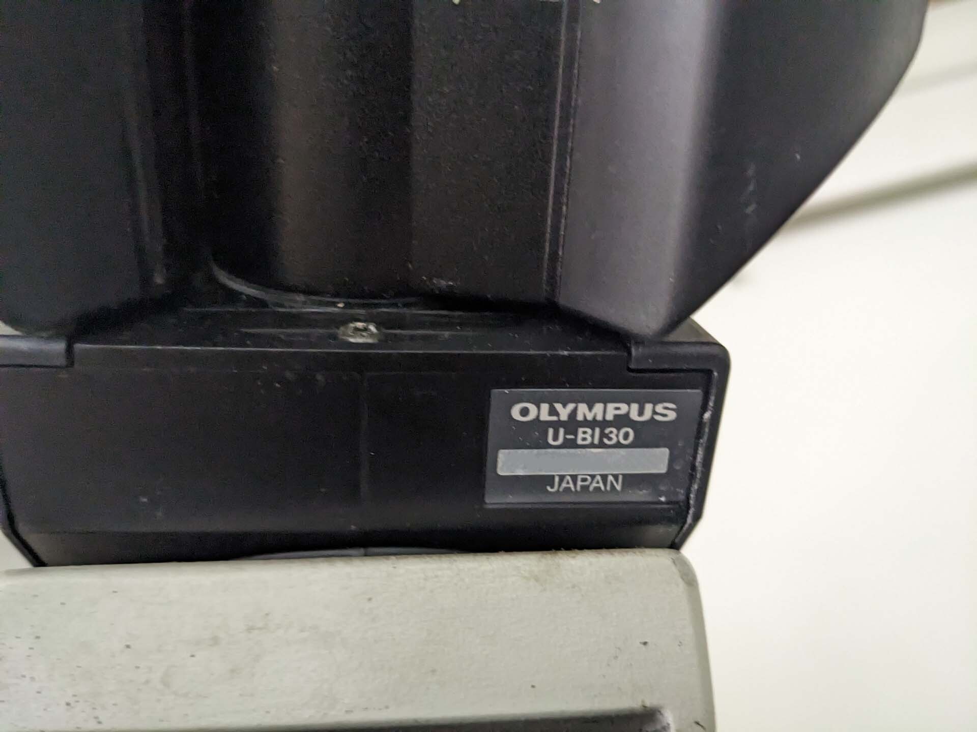 Photo Utilisé OLYMPUS U-BI30 À vendre