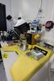 圖為 已使用的 ORTHODYNE Model 20 待售