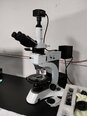 PERKIN ELMER Optical microscope