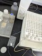 Foto Verwendet PERKIN ELMER Optima 7300 DV Zum Verkauf
