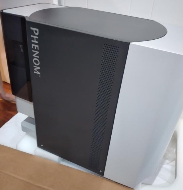 사진 사용됨 PHENOMWORLD Phenom 판매용