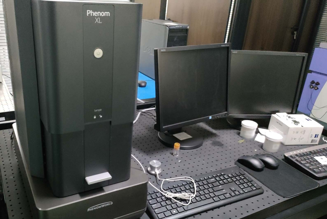 图为 已使用的 PHENOMWORLD Phenom XL 待售