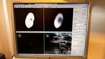 Foto Verwendet PHILIPS / FEI Quanta 200 Zum Verkauf
