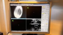 Foto Verwendet PHILIPS / FEI Quanta 200 Zum Verkauf