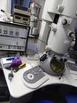 Photo Used PHILIPS / FEI Tecnai G2 F30 For Sale