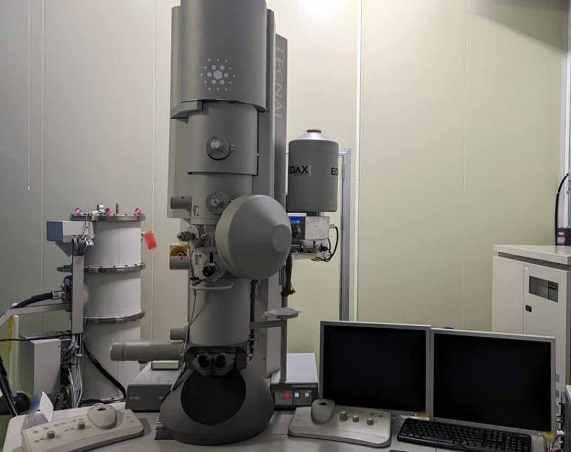 Photo Utilisé PHILIPS / FEI Tecnai G2 F20 À vendre