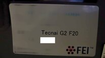 Photo Utilisé PHILIPS / FEI Tecnai G2 F20 À vendre