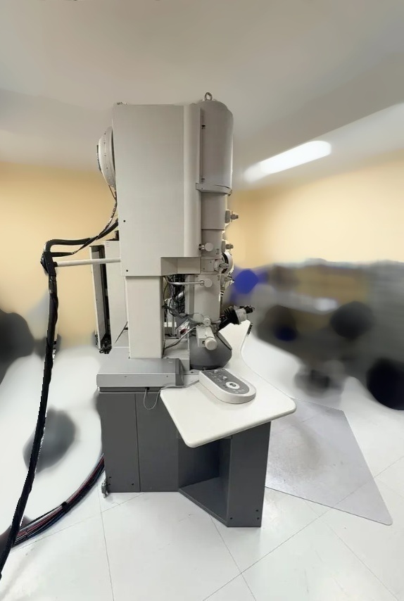 Photo Utilisé PHILIPS / FEI Tecnai G2 F20 À vendre