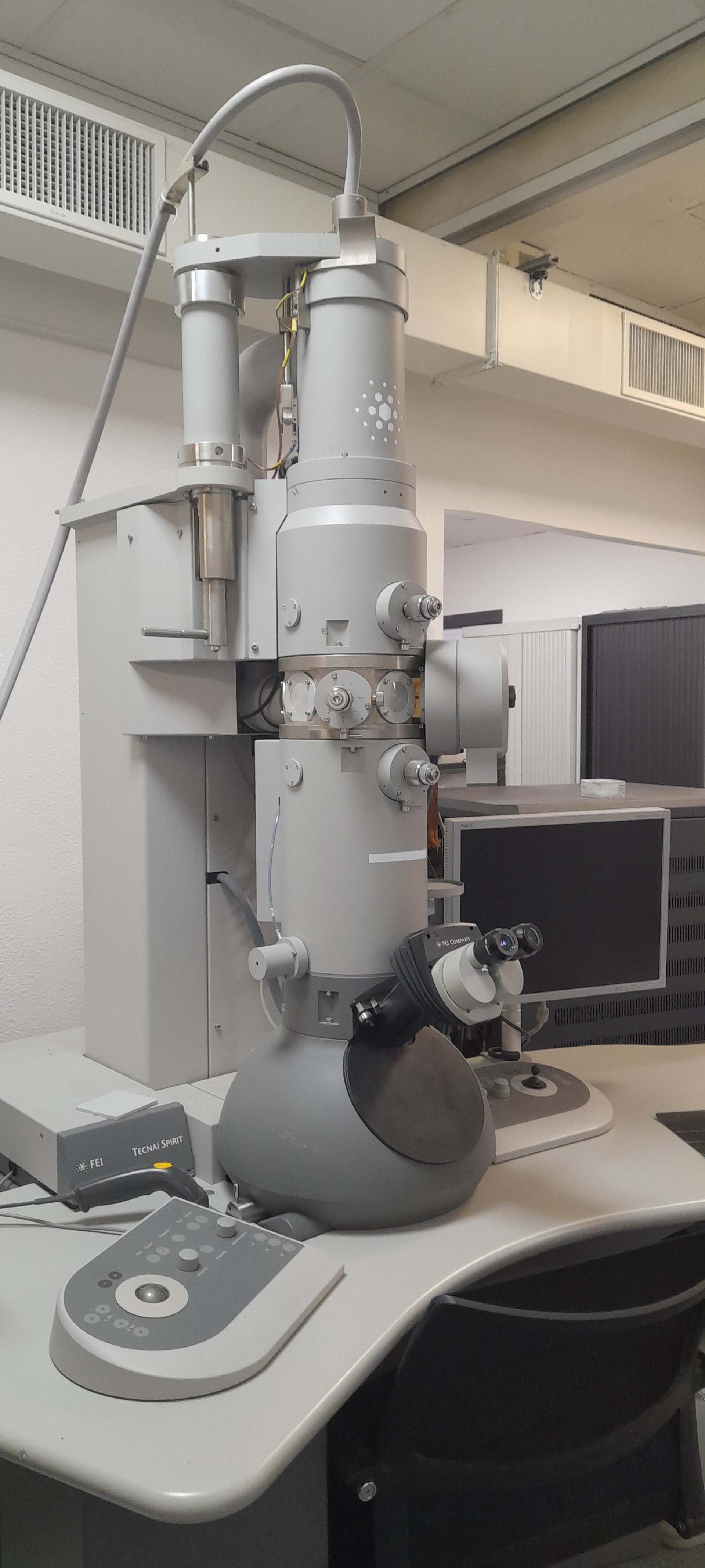 Photo Used PHILIPS / FEI Tecnai G2 Spirit Twin For Sale