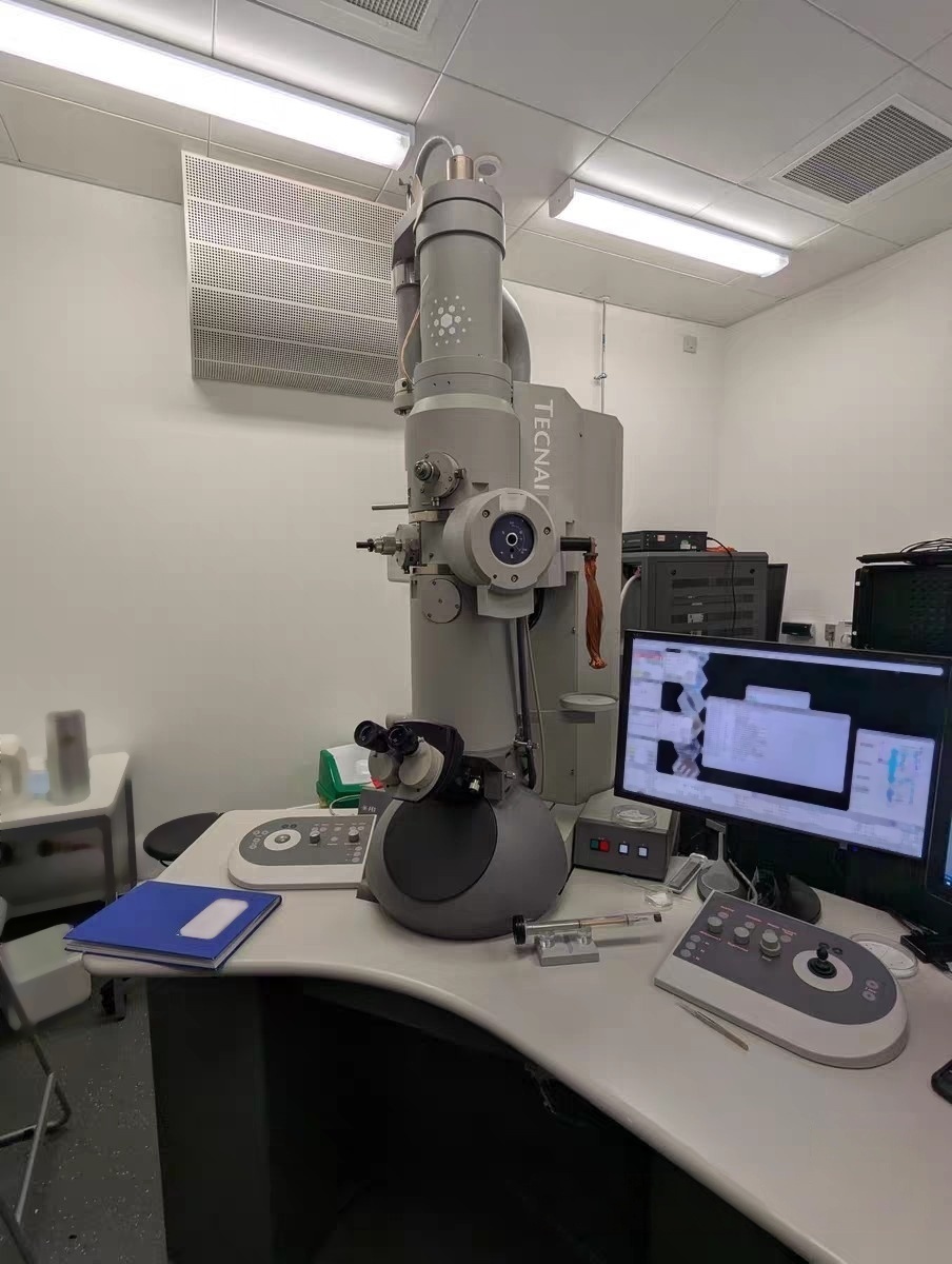 フォト（写真） 使用される PHILIPS / FEI Tecnai TF30 G2 販売のために