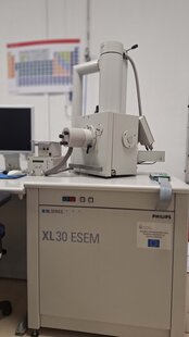 PHILIPS / FEI XL 30 (ESEM) #293824979