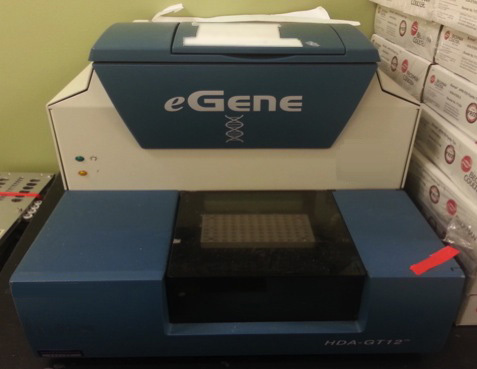 Photo Used QIAGEN / EGENE HAD-GT12 For Sale