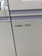 Foto Verwendet ROCHE Cobas 6800 Zum Verkauf