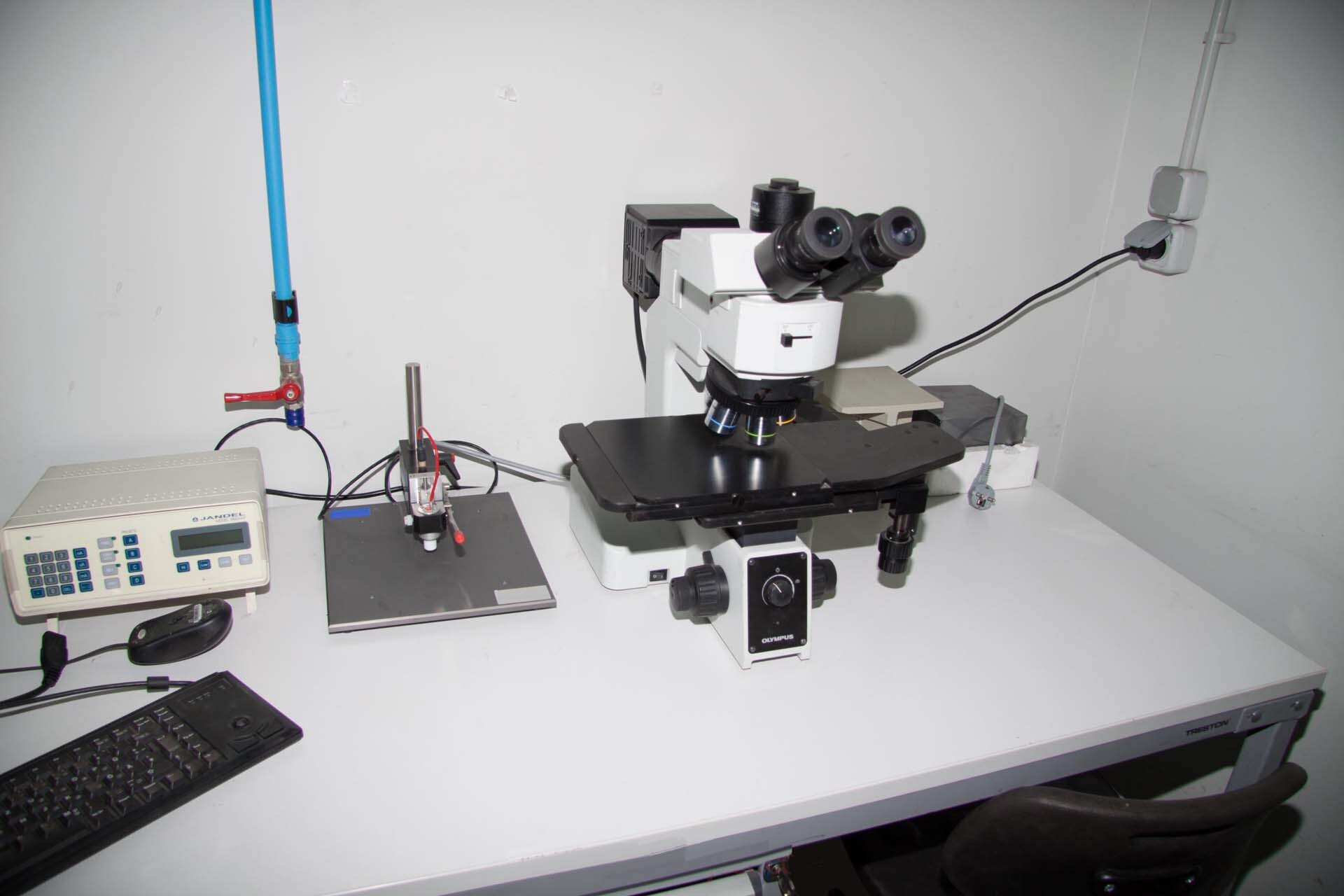 Foto Verwendet SEMILAB / SDI RT-1000 Zum Verkauf