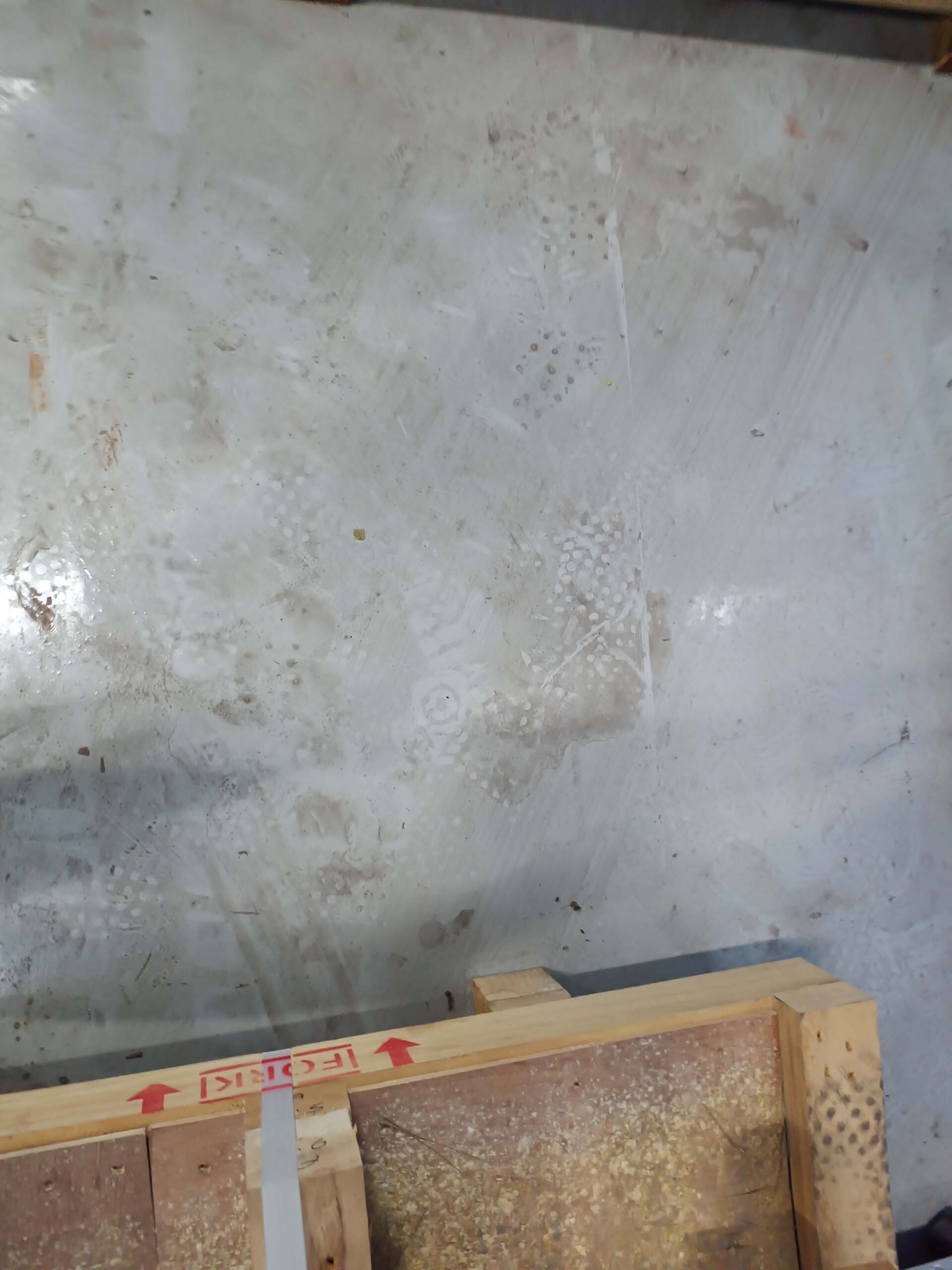 图为 已使用的 SES BW3000F 待售