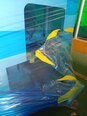 圖為 已使用的 SES BW3000F 待售