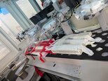 사진 사용됨 SEZ / LAM RESEARCH 223 판매용