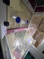 フォト（写真） 使用される SEZ / LAM RESEARCH 304 販売のために