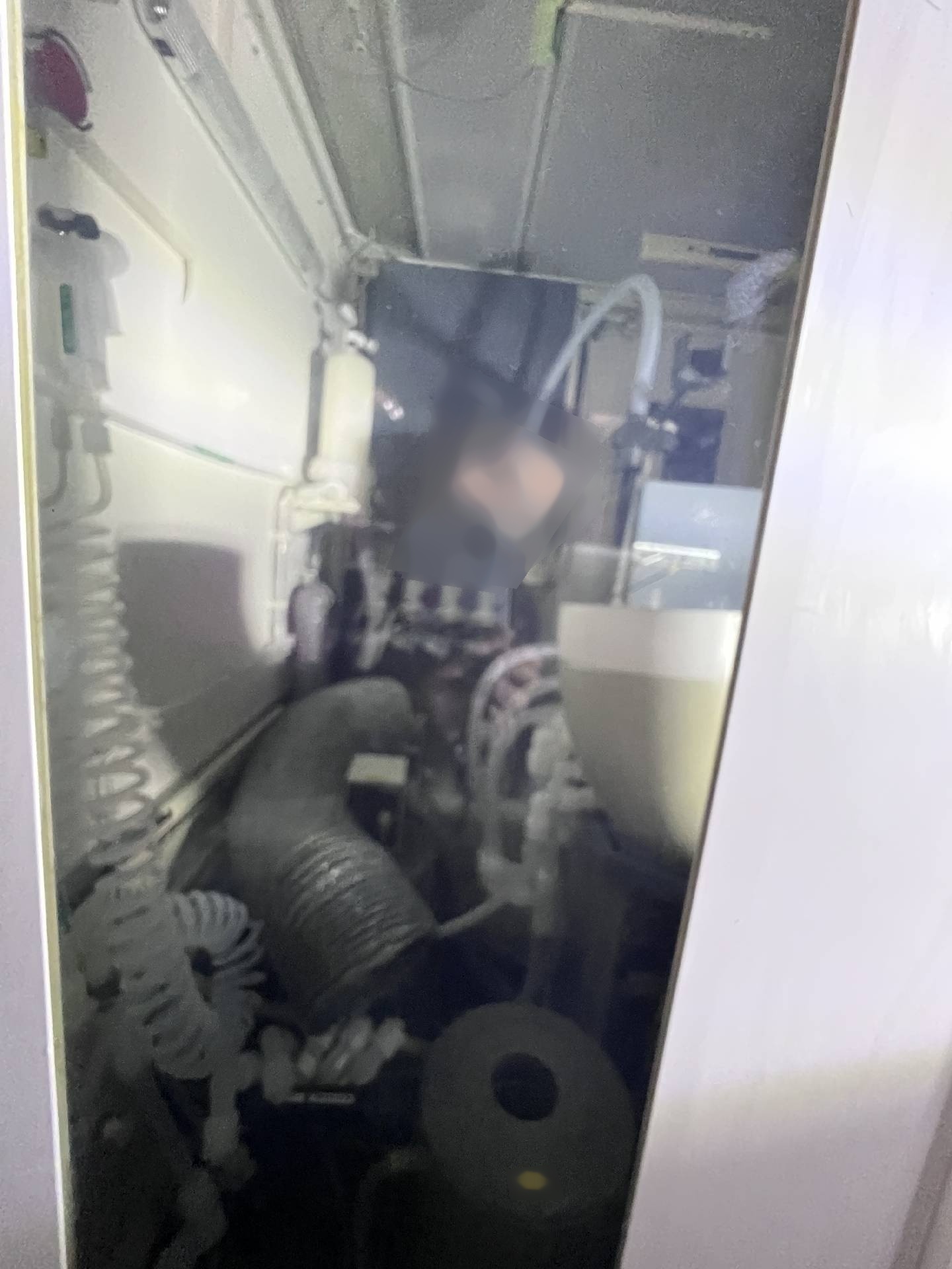 フォト（写真） 使用される SEZ / LAM RESEARCH 304 販売のために
