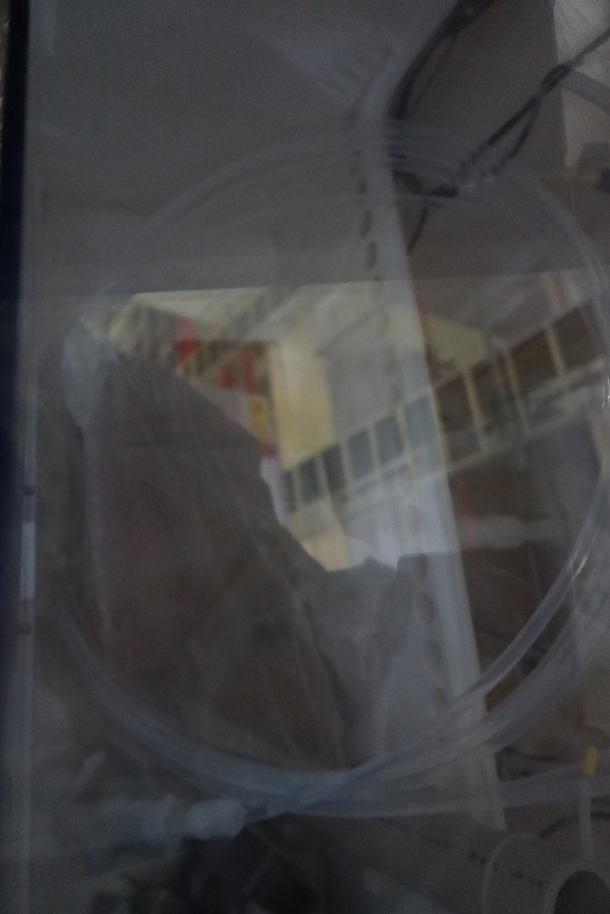 Photo Utilisé SEZ / LAM RESEARCH SP 323 À vendre