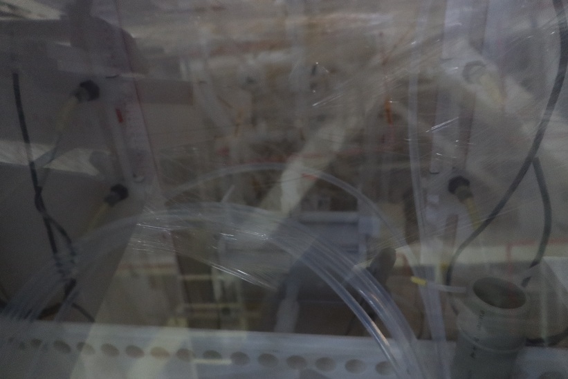 Photo Utilisé SEZ / LAM RESEARCH SP 323 À vendre