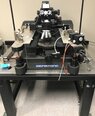 SIGNATONE Micromanipulator / Wentworth