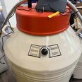 圖為 已使用的 THERMO SCIENTIFC LHTS 1525 LN2 待售