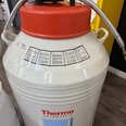 THERMO SCIENTIFC LHTS 1525 LN2