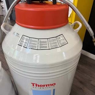 THERMO SCIENTIFC LHTS 1525 LN2 #293826994
