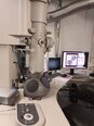 사진 사용됨 THERMO FISHER SCIENTIFIC / PHILIPS / FEI Tecnai F20 판매용