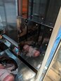 Foto Verwendet TEL / TOKYO ELECTRON Alpha 8S Zum Verkauf