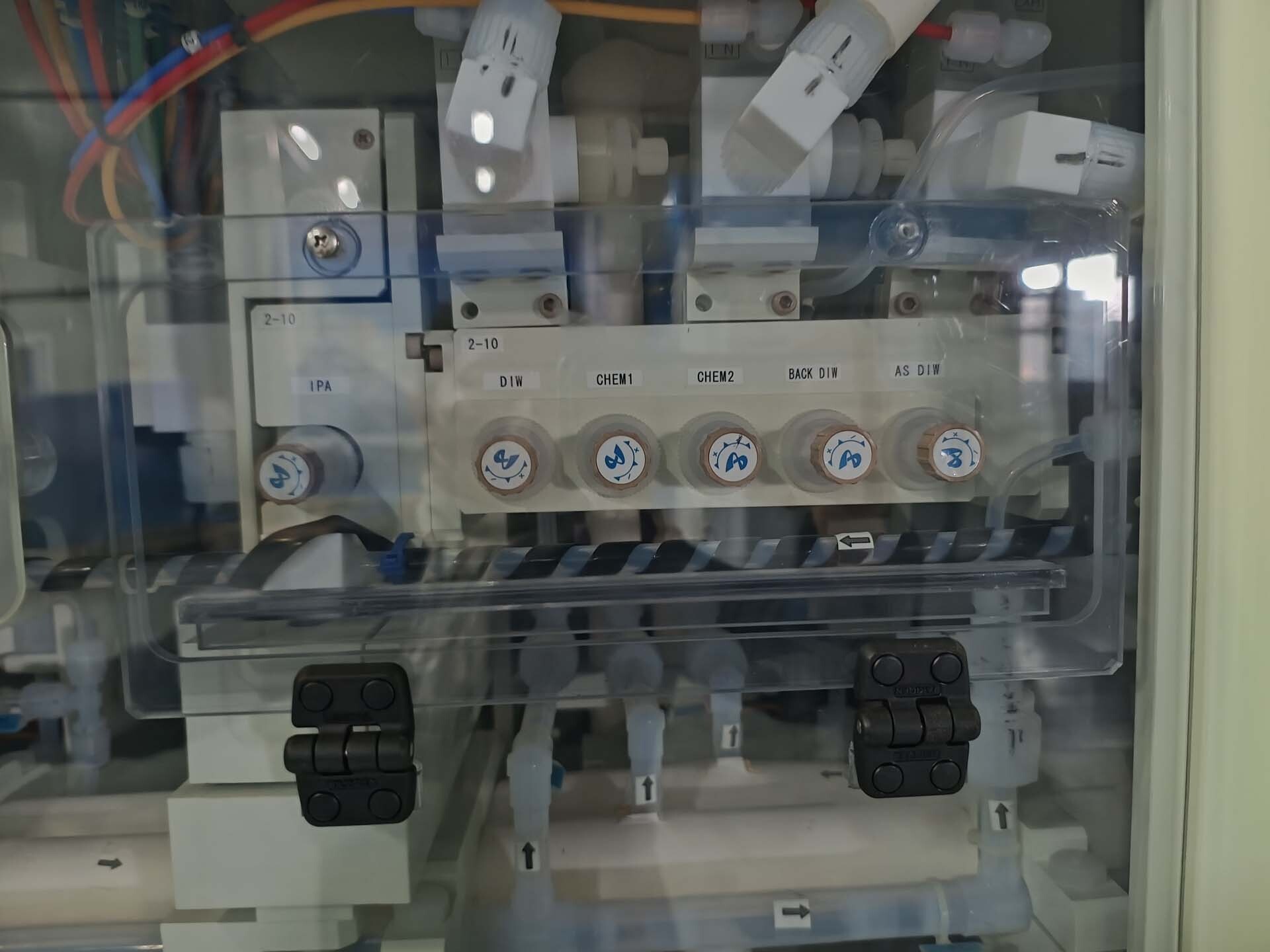 Foto Verwendet TEL / TOKYO ELECTRON Cellesta+ Zum Verkauf