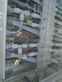 Foto Verwendet TEL / TOKYO ELECTRON Cellesta+ Zum Verkauf