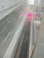 Foto Verwendet TEL / TOKYO ELECTRON Cellesta+ Zum Verkauf