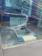 Foto Verwendet TEL / TOKYO ELECTRON Expedius+ Zum Verkauf