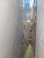 Foto Verwendet TEL / TOKYO ELECTRON Expedius+ Zum Verkauf