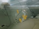 Foto Verwendet TEL / TOKYO ELECTRON Expedius+ Zum Verkauf