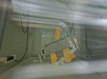 Foto Verwendet TEL / TOKYO ELECTRON Expedius+ Zum Verkauf