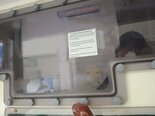 图为 已使用的 TEL / TOKYO ELECTRON Expedius 待售