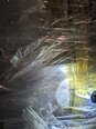 フォト（写真） 使用される TEL / TOKYO ELECTRON Mark 8 販売のために