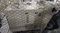 Photo Used TEL / TOKYO ELECTRON P-8XL For Sale