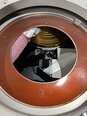 Photo Used TEL / TOKYO ELECTRON P-8XL For Sale