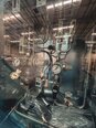 图为 已使用的 TEL / TOKYO ELECTRON INDY PLUS B M 待售