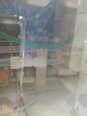 图为 已使用的 TEL / TOKYO ELECTRON UW-300Z 待售