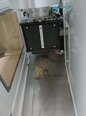图为 已使用的 TEL / TOKYO ELECTRON UW-300Z 待售