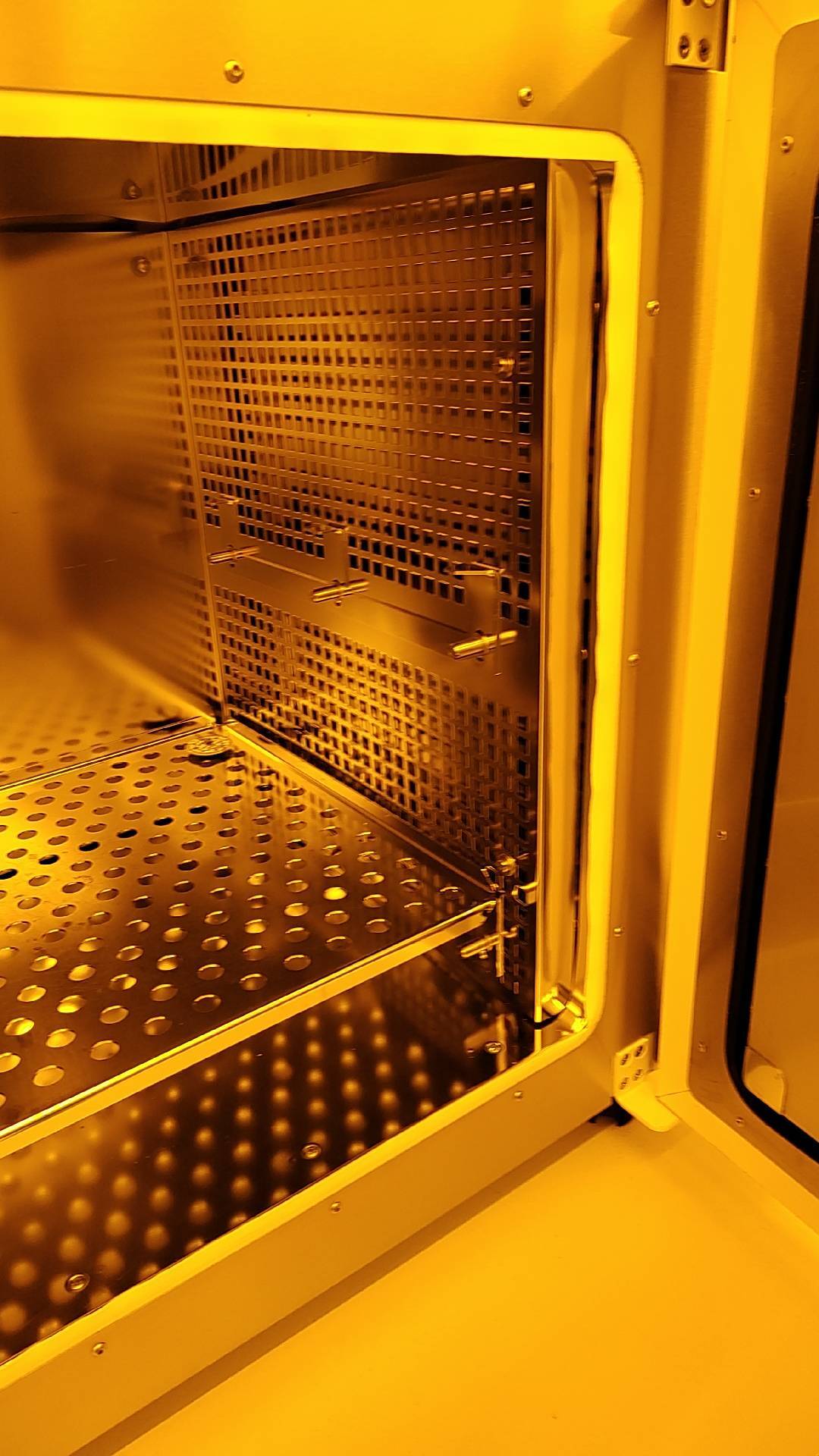 フォト（写真） 使用される THERMO ELECTRON / THERMO FISHER SCIENTIFIC Heraeus 販売のために