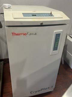 Foto Verwendet THERMO FISHER SCIENTIFIC / FORMA Cryoplus Zum Verkauf