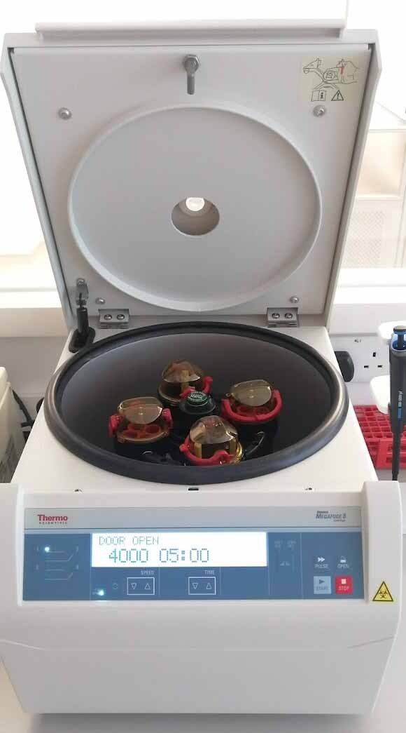 圖為 已使用的 THERMO FISHER SCIENTIFIC / HERAEUS / KENDRO Megafuge 8 待售