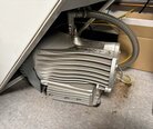 Foto Verwendet THERMO FISHER SCIENTIFIC / PHILIPS / FEI Verios G4 Zum Verkauf