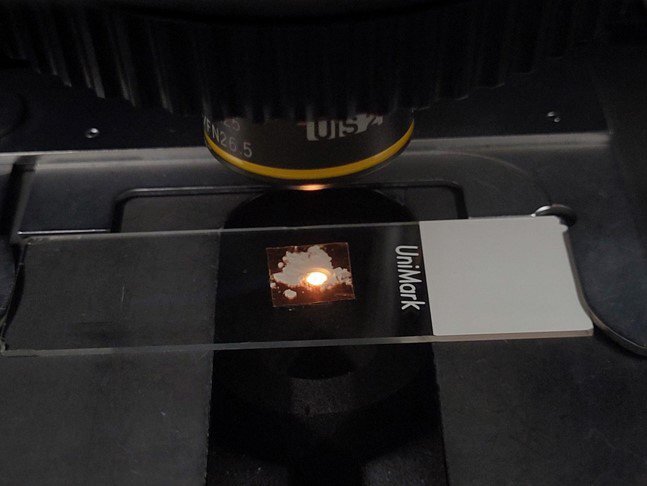 图为 已使用的 THERMO FISHER SCIENTIFIC DXR2 待售